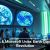 Social Engineering: The Human Side of Hacking