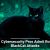 U.S. Cybersecurity Pros Admit Role in BlackCat Attacks